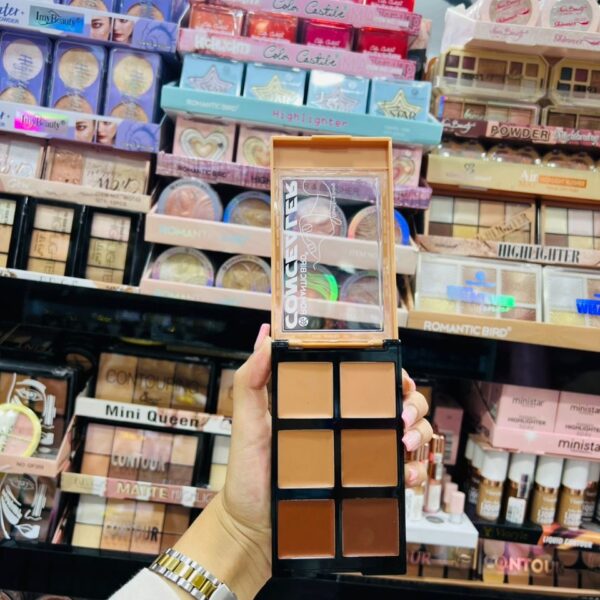 Palette Correctrice 6 Couleurs – Finition Parfaite & Teint Zéro Défaut