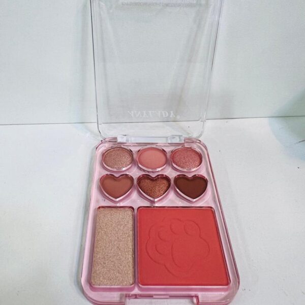 Palette Maquillage – ANYLADY (Blush, Highlighter, Fards à Paupières)