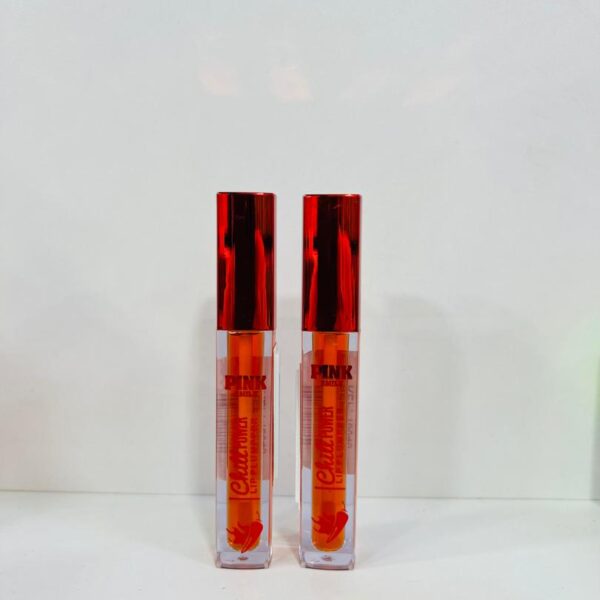 Gloss Repulpant