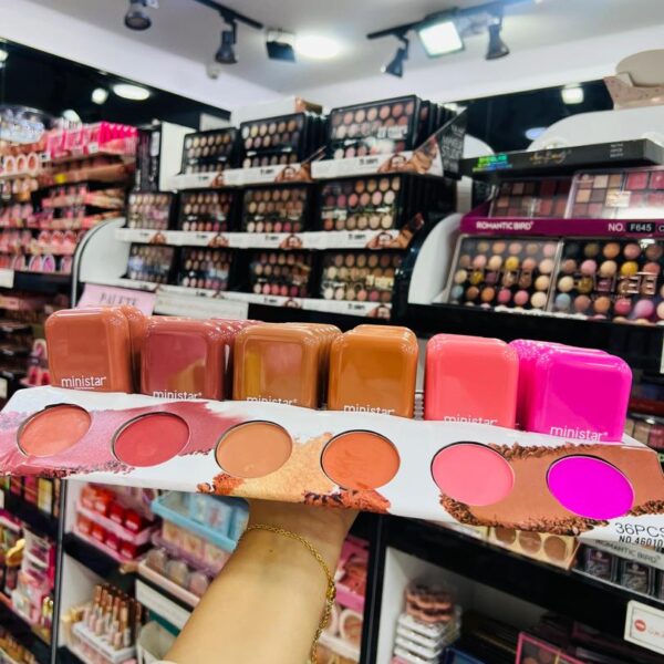 BLUSH POUDRE MINISTAR